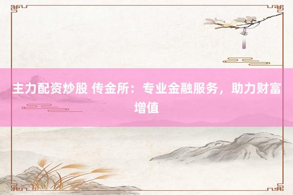 主力配资炒股 传金所：专业金融服务，助力财富增值