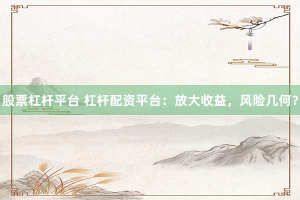 股票杠杆平台 杠杆配资平台：放大收益，风险几何？