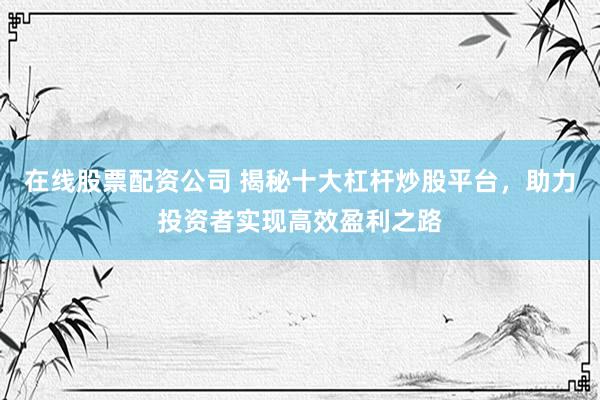 在线股票配资公司 揭秘十大杠杆炒股平台，助力投资者实现高效盈利之路