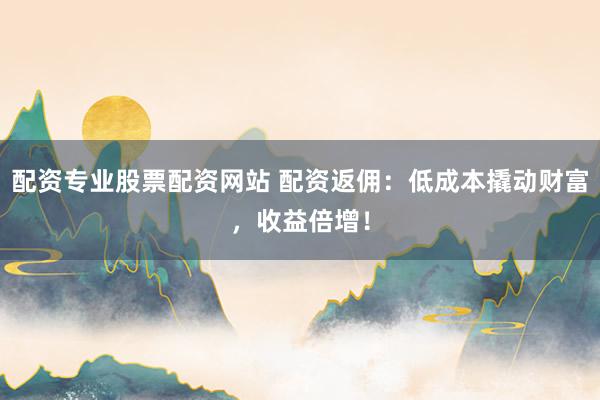 配资专业股票配资网站 配资返佣：低成本撬动财富，收益倍增！