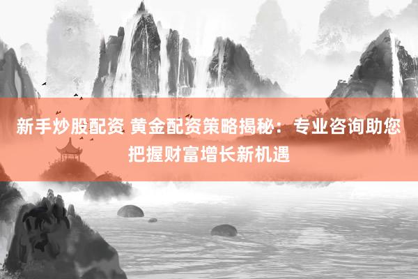 新手炒股配资 黄金配资策略揭秘：专业咨询助您把握财富增长新机遇