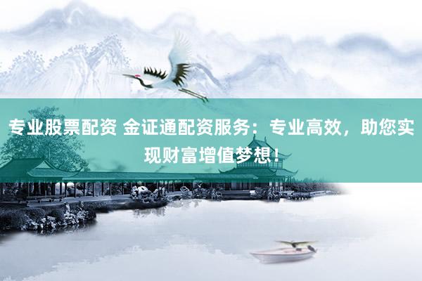 专业股票配资 金证通配资服务：专业高效，助您实现财富增值梦想！