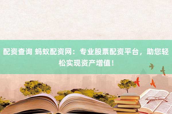 配资查询 蚂蚁配资网：专业股票配资平台，助您轻松实现资产增值！