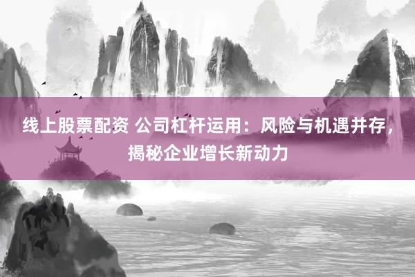 线上股票配资 公司杠杆运用：风险与机遇并存，揭秘企业增长新动力